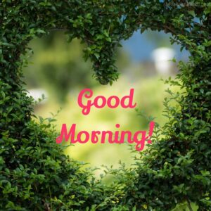 Green Love Heart Good Morning Images