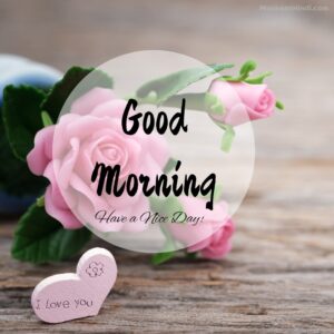 I Love You Good Morning Images