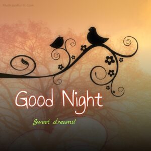 night birds good night images