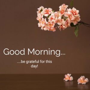 good morning for being grateful pic hd