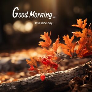 beautiful good morning images autmn leafs